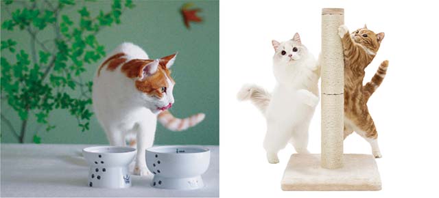 猫との暮らしに本当に必要なものを考え、デザインの美しい機能性にも優れた製品を開発（左：脚付フードボウルとウォーターボウル、右：バリバリつめとぎポール）