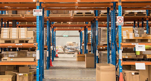 多肉植物の販売ニュースを遊びに変えよう