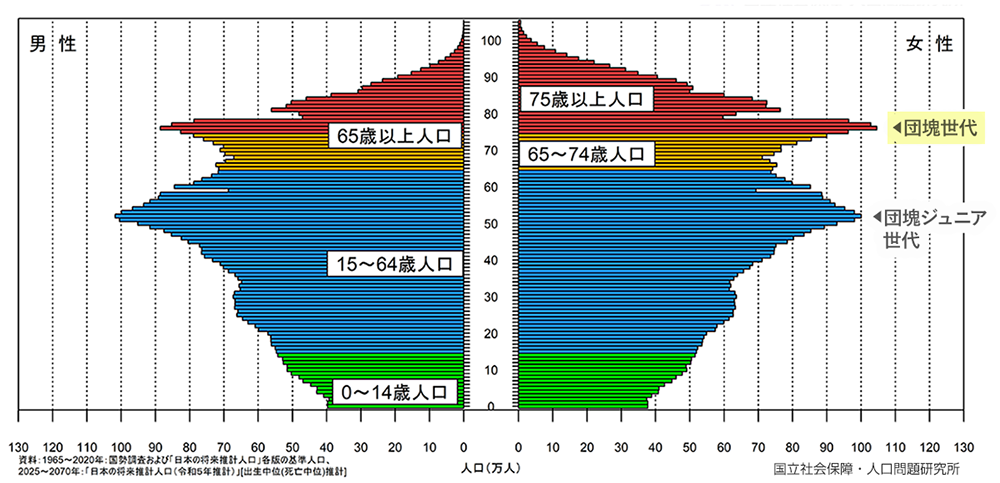 図1 : 2025年段階の人口ピラミッド