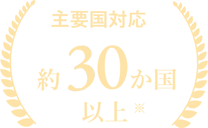 主要国対応約30か国以上※